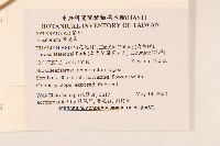 花蓮澤蘭藏品圖，第2張