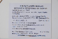 臺灣糯米條藏品圖，第2張