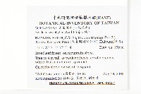 梜木藏品圖，第2張