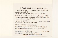 絲綿草藏品圖，第2張