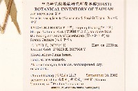 高山破傘菊藏品圖，第2張