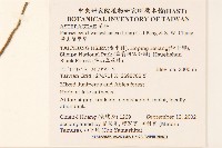 黃山蟹甲草藏品圖，第2張