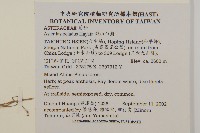 絨山白蘭藏品圖，第2張