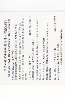 倒卵葉裂緣花藏品圖，第2張