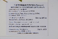 臺灣藤漆藏品圖，第2張