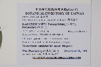 臺灣鵝掌柴藏品圖，第2張