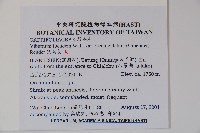 狹葉莢迷藏品圖，第2張