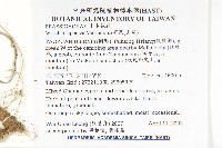 山葵藏品圖，第2張