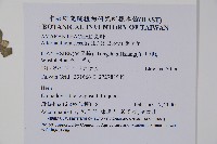 蓮子草藏品圖，第2張