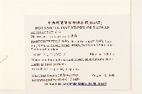 小米菊藏品圖，第2張