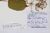 登錄號:S103573藏品圖，第2張