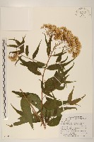 登錄號:S103579藏品圖，第1張