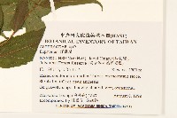 登錄號:S103579藏品圖，第2張