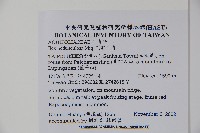 刻脈冬青藏品圖，第2張