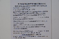 小葉莢迷藏品圖，第2張