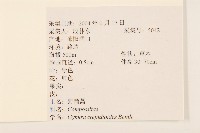 野茼蒿藏品圖，第2張