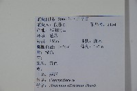 莢迷藏品圖，第2張