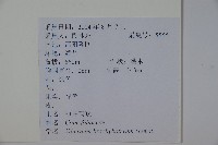 短序莢迷藏品圖，第2張