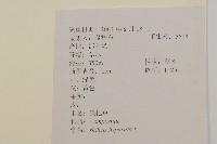 狼把草藏品圖，第2張