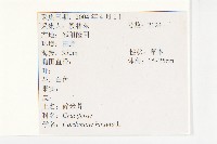 碎米薺藏品圖，第2張