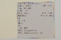 繁縷藏品圖，第2張