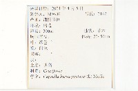 薺藏品圖，第2張