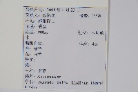 京梨獼猴桃藏品圖，第2張