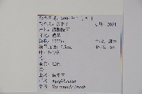 鐵冬青藏品圖，第2張