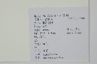 冬青藏品圖，第2張