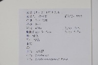 亮葉樺藏品圖，第2張