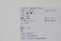 毛花楊桃藏品圖，第2張