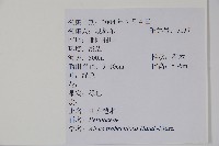 江南榿木藏品圖，第2張