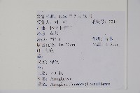 八角楓藏品圖，第2張