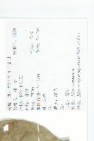 薯豆藏品圖，第2張