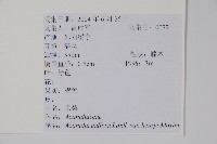 京梨獼猴桃藏品圖，第2張