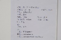 棕毛獼猴桃藏品圖，第2張