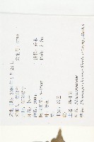 華杜英藏品圖，第2張