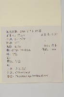 大果衛矛藏品圖，第2張