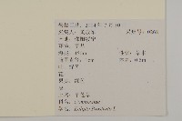 鱧腸藏品圖，第2張