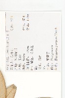 胡頹子藏品圖，第2張