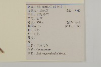 山白蘭藏品圖，第2張