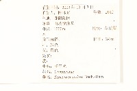 蔓黃菀藏品圖，第2張