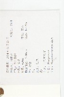 宜昌胡頹子藏品圖，第2張