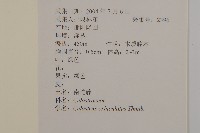 南蛇藤藏品圖，第2張