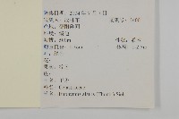 衛矛藏品圖，第2張