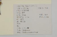 江南山柳藏品圖，第2張