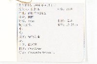 碎米薺藏品圖，第2張