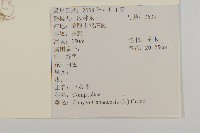 加拿大蓬藏品圖，第2張