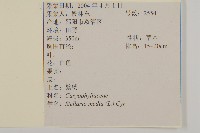 繁縷藏品圖，第2張