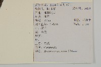 珍珠蒿、奇蒿藏品圖，第2張